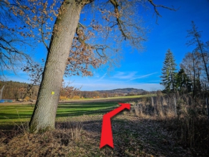 Kurze Etappe durch den Wald und dann außen nach rechts oben