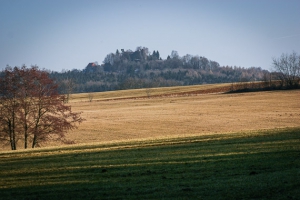 Blick zur Burg Stauf