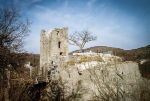 Burgruine Neideck