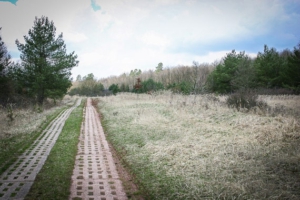 Ehemaliger Grenz-Fahrweg