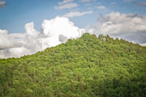 Ehemalige Burg Warenberg