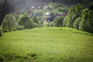 Blick hinunter auf Kosbrunn