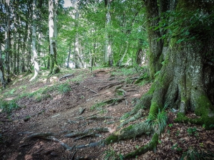 Am Rande einer kleinen Schlucht