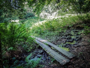 Brücke aus zwei Brettern