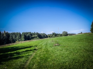 Weg über offenen Wiesen