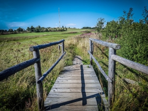 Holzbrücke inmitten von Wiesen