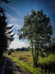 Auf breitem Feldweg