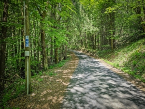 Dem geteerten Weg folgen zum Holzberghof