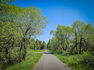 Der geraden schmalen Straße folgen