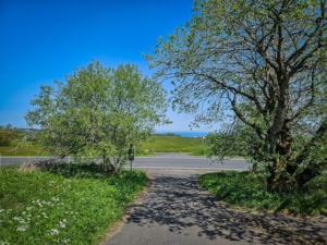 Landstraße auf dem Heidelstein überqueren