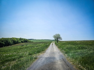 Auf breitem Feldweg