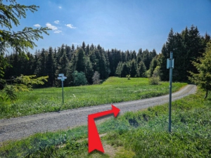 Auf unterem Schotterweg nach rechts in den Wald