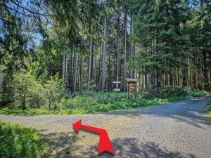 An der Kreuzung im Wald nach links unten