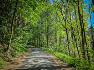 Rückweg nach der Senke wieder bergan zum Wanderparkplatz