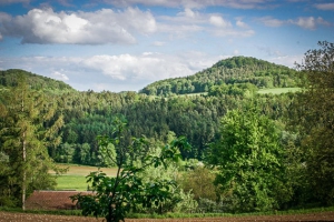 Wandern Kleiner Kulm Pegnitz