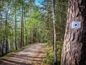 Weg am Feisnitzspeicher entlang