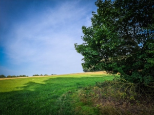 Weg am Waldrand entlang