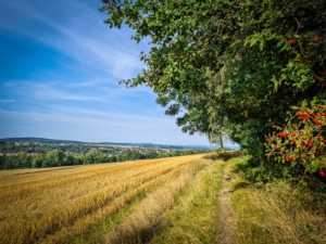 Am Waldrand hoch über Arzberg