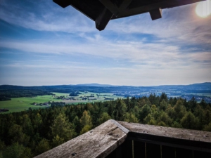 Aussicht von der Wallenfelswarte