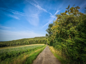 Rückweg zum Startpunkt