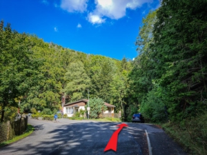 Geradeaus weiter in den Wald