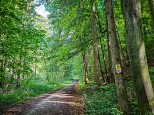 Durch die schattige Tiefentalschlucht