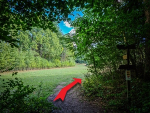 Am Waldrand rechts nach oben abbiegen