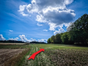 Nach rechts durch die Hecke abbiegen