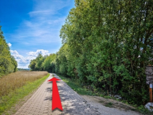 Hinter Anhöhe an Hecke entlang links geradeaus