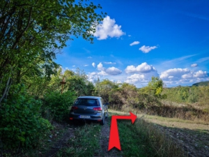 An der hinteren Ecke des Waldrandes nach rechts unten