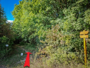 In nächster Kurve an Schranke vorbei geradeaus