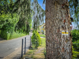 Dem Gelb-Balken-Wegweiser folgen
