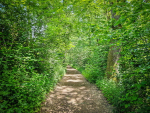 Weg durch die Hecken oberhalb der Teiche am Hang entlang