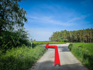 Wieder außerhalb des Waldes nach links abbiegen