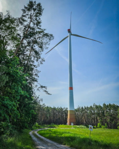 Weg unter neuem Windrand entlang