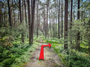 An natürlicher Wegkreuzung im Wald mit Blau-Punkt nach rechts abbiegen
