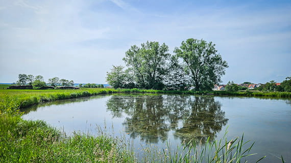 1000 Teiche wandern