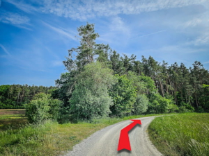 An nächstem Wald an der Rechtskurve nach rechts und am Waldrand entlang