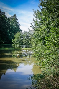 Blick auf einen langen Teich