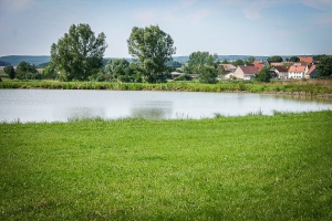 Weiher vor Traishöchstädt