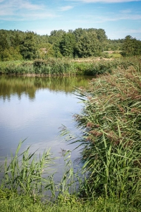 Weiher auf dem Weg zum Ort Linden