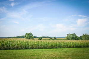 Weite freie Fläche