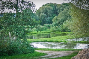 Weitere Kette von Karpfenteichen