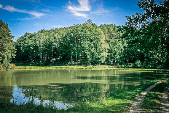 Die 1000 Teiche Tour in Franken Jetzt mit HINTERINDIEN.DE wandern