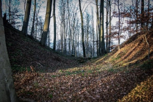 Große Mulde auf dem Stiefenberg