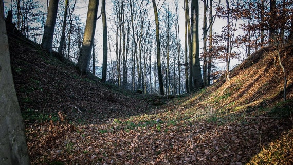 Wandern auf den Stiefenberg