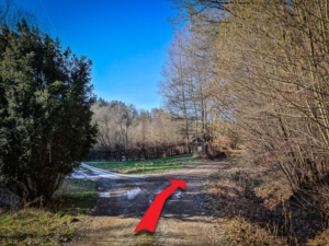 An erster Weggabelung an Weiher nach rechts