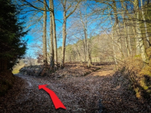 An zweiter Gabelung nach Fichtenhecke links halten