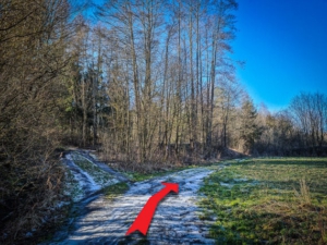 An erneuter Gabelung an der Wiese rechts außen hoch