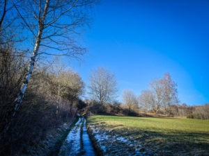 Am Wald- und Heckenrand immer weiter bergauf